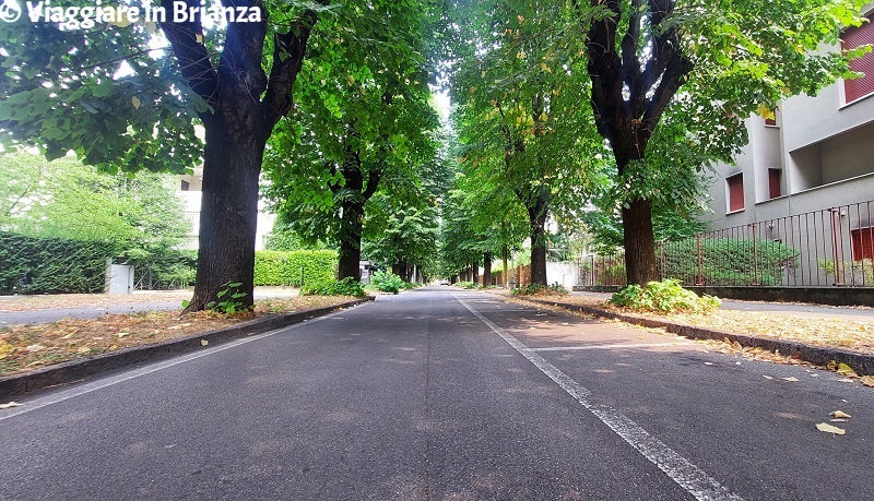 Cosa vedere a Meda, il viale delle Rimembranze