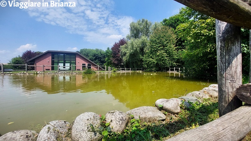 Cosa fare a Ferragosto in Brianza, il Bosco delle Querce