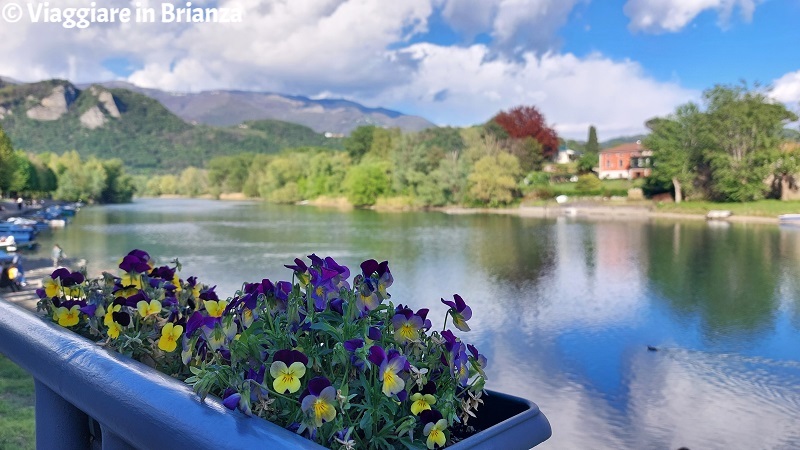 Cosa fare a Ferragosto in Brianza, il fiume Adda