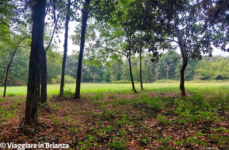 L'area verde nel Parco della Brughiera Briantea