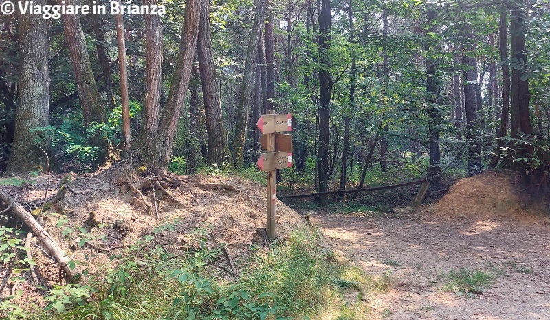 Cartelli del sentiero 12 nel Parco della Brughiera Briantea