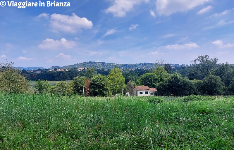 La collina di Oriano