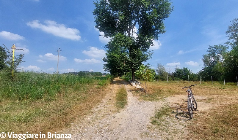 Dagò, il sentiero nel Parco della Valletta