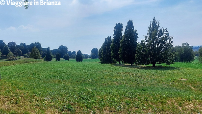 Monticello Brianza, campi