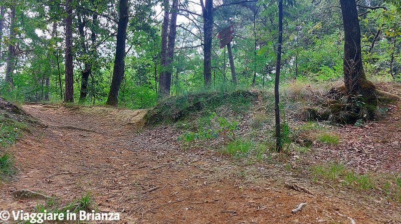 Parco delle Groane e della Brughiera Briantea, i cartelli del sentiero 12