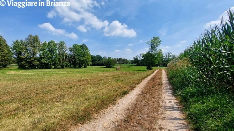 Parco della Valletta, il sentiero tra Oriano e Monticello