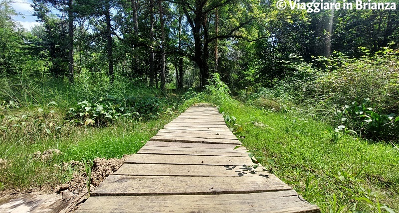 Passerella in legno nel Parco della Brughiera Briantea