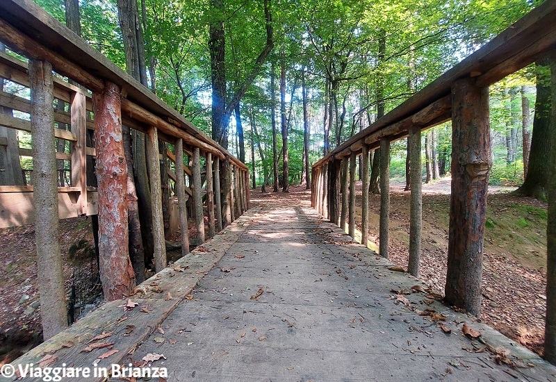 Il ponticello sul torrente Lottolo