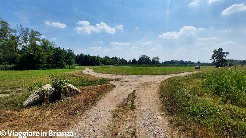 I sentieri del Parco della Valletta