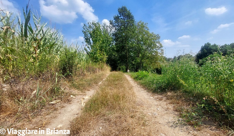 Il sentiero di Dagò nel Parco della Valletta