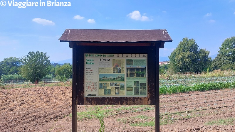 Il sentiero didattico a Monticello nel Parco della Valletta