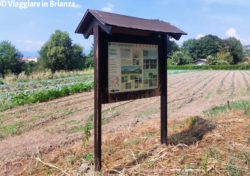 Il sentiero didattico del Parco della Valletta