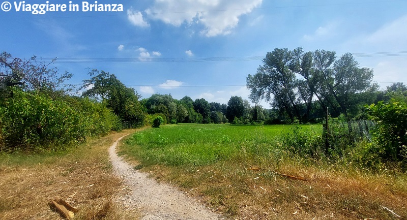 Il sentiero nel Parco Agricolo della Valletta della Brianza