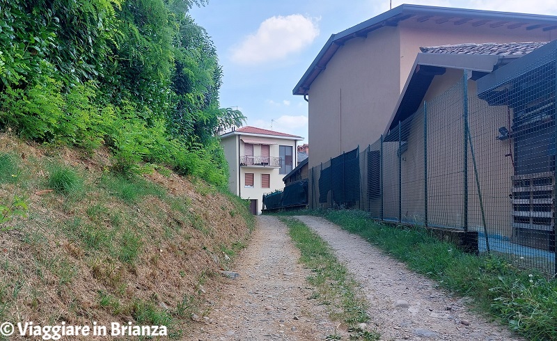 Il sentiero di Prebone nel Parco della Valletta