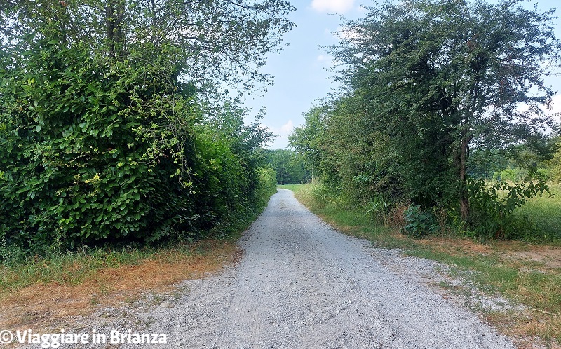 La strada per Cascina Magritto