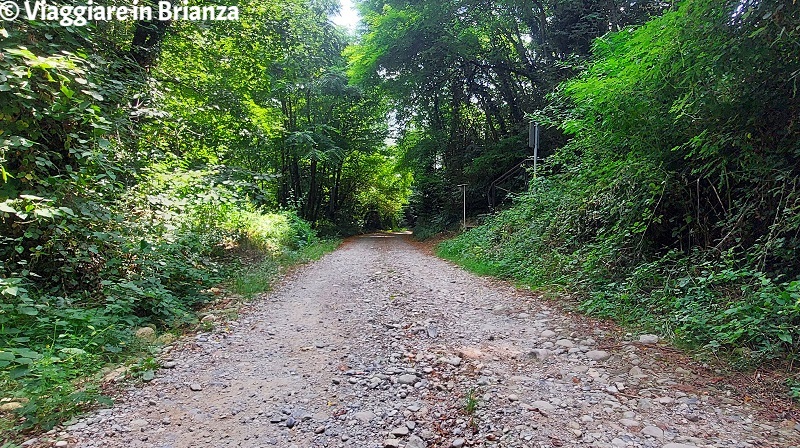 La strada per la Chiesa di San Martino a Mariano Comense