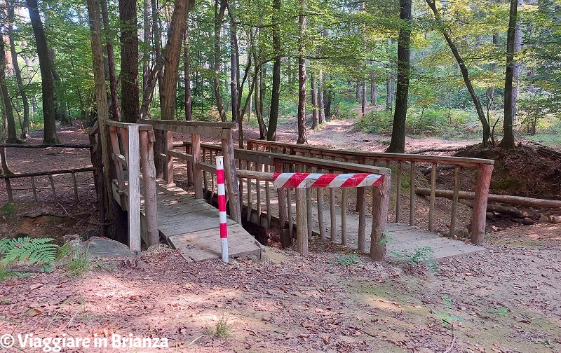 Il torrente Lottolo a Cascina Amata