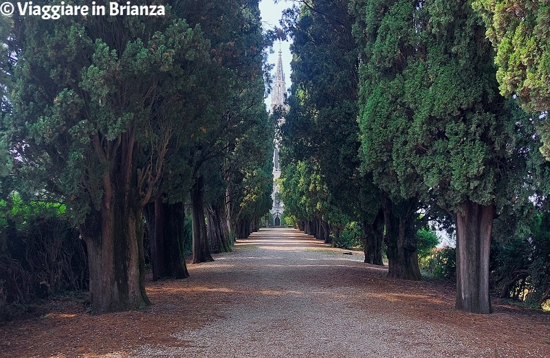 Il viale di cipressi del Mausoleo Visconti